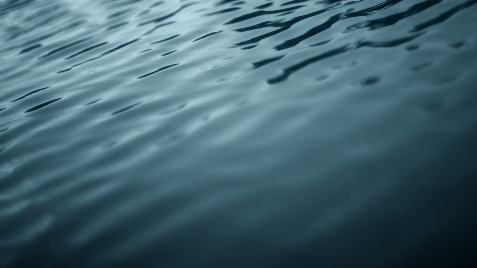 ソリューション