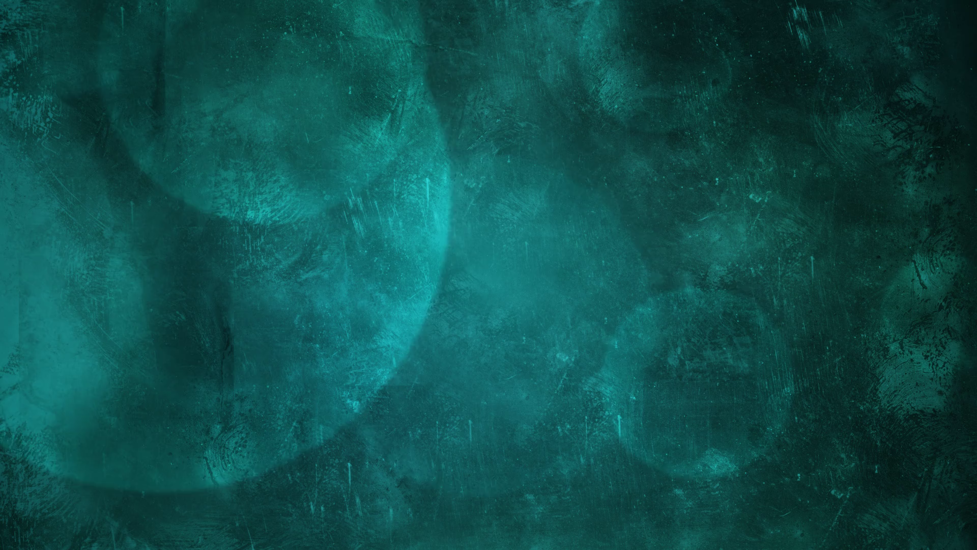 嶋津武仁 プロフィール