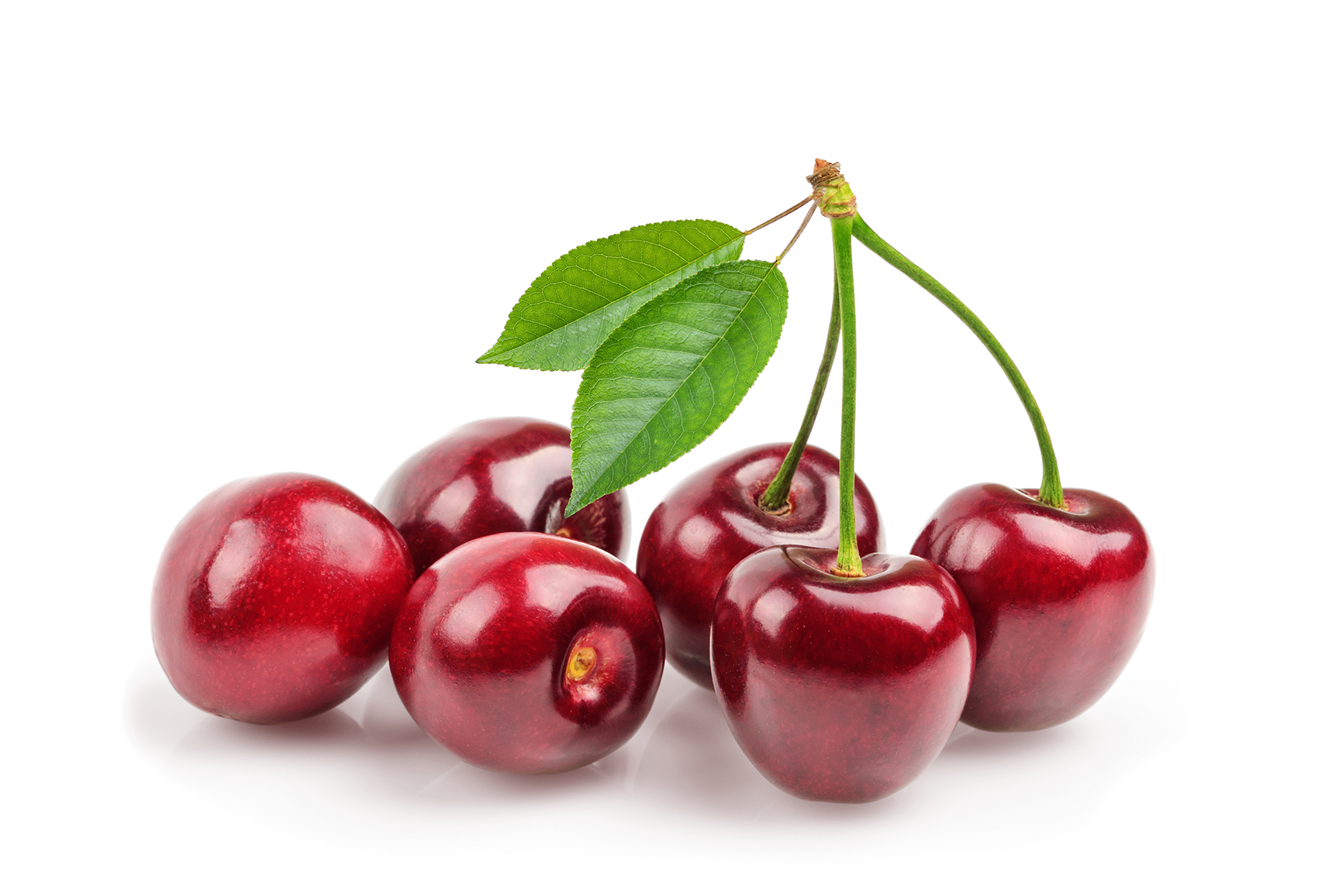 Ripe cherry crop after humic acid treatment