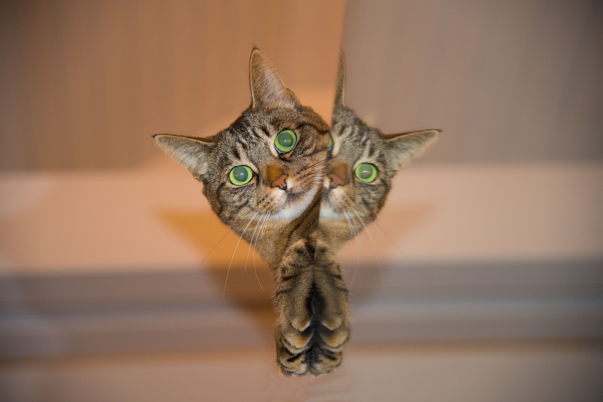 Unsere Medien Seite mit 42 Alben und 18 Albumseiten