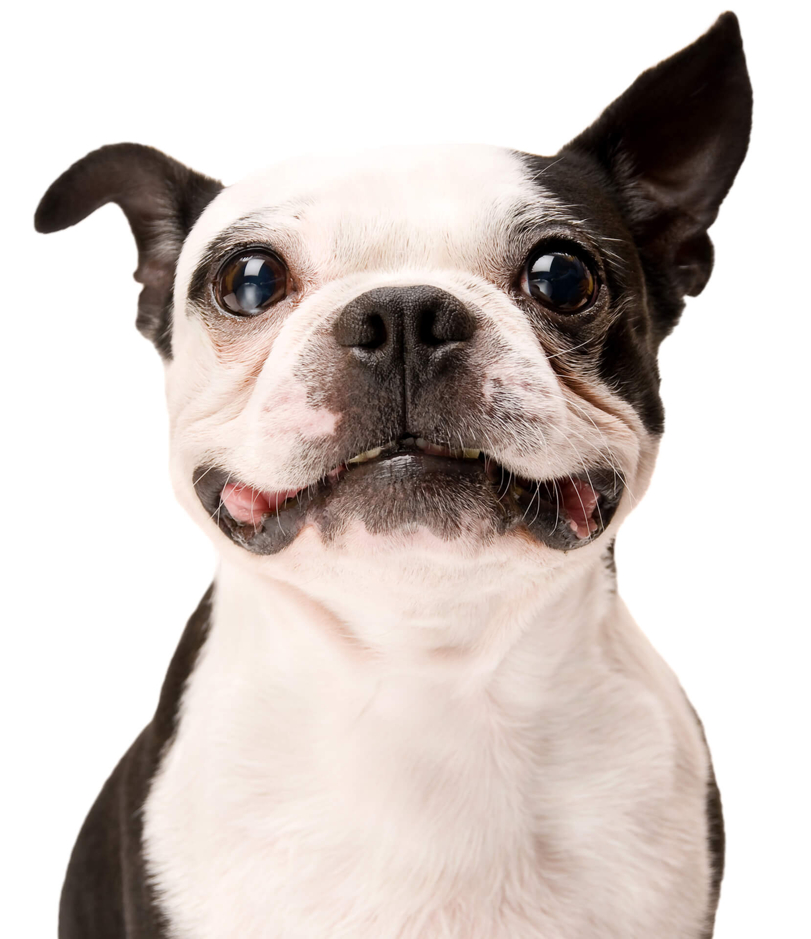 wenn man mich fragt, mir gefällt es!!