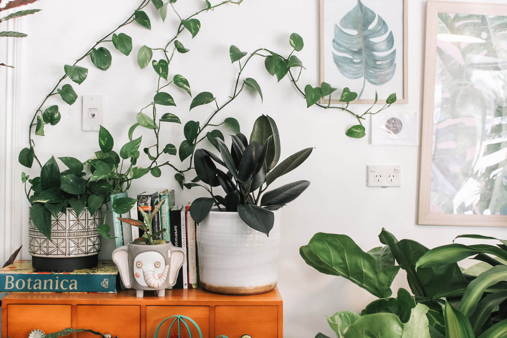 Airbnb pris per person