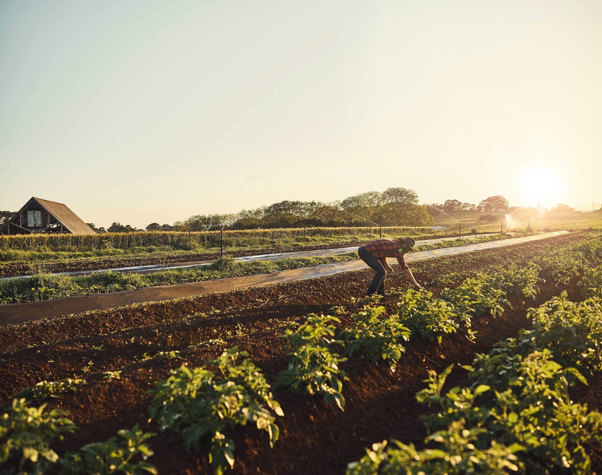 Un environnement responsable