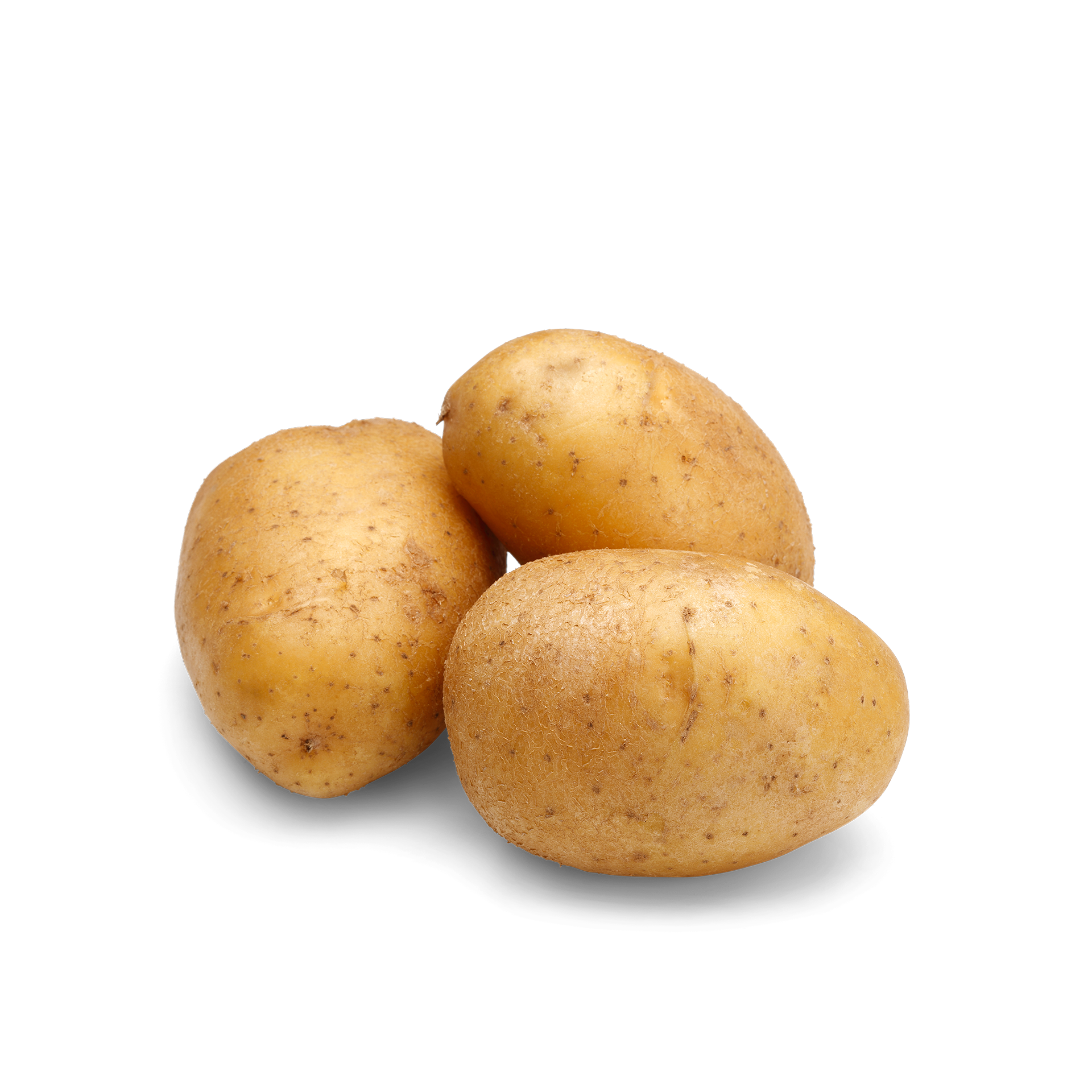 17. Білорусь