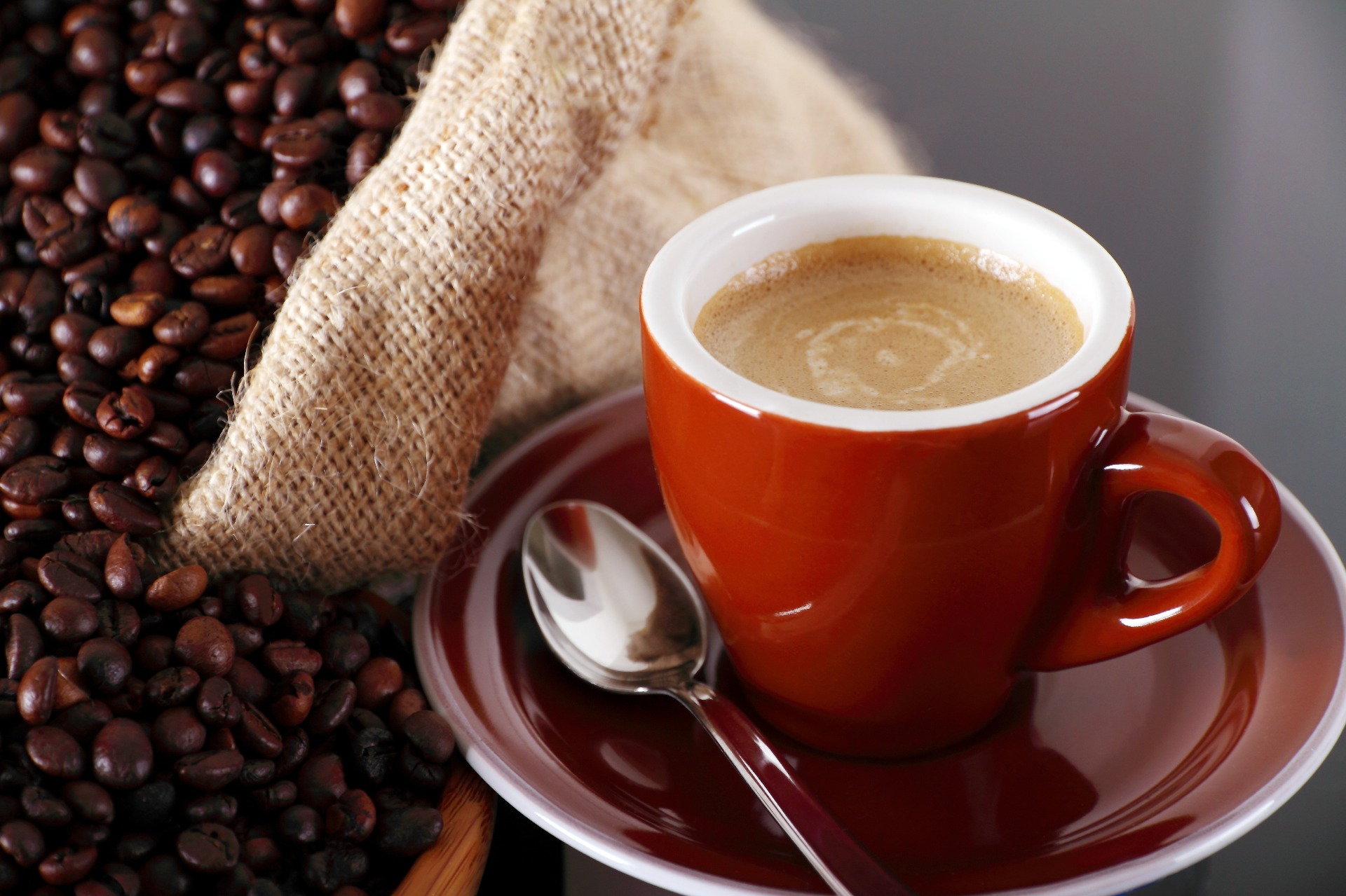 Barna kávébabos embléma, „BLASTRO Cafe” felirattal, „100% Quality” és „Premium Coffee Beans” szöveggel.