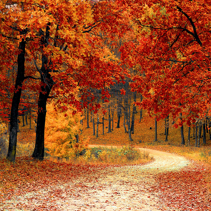 BIOMEICINA - UNISA - GRADUAÇÃO 100% Via WEB