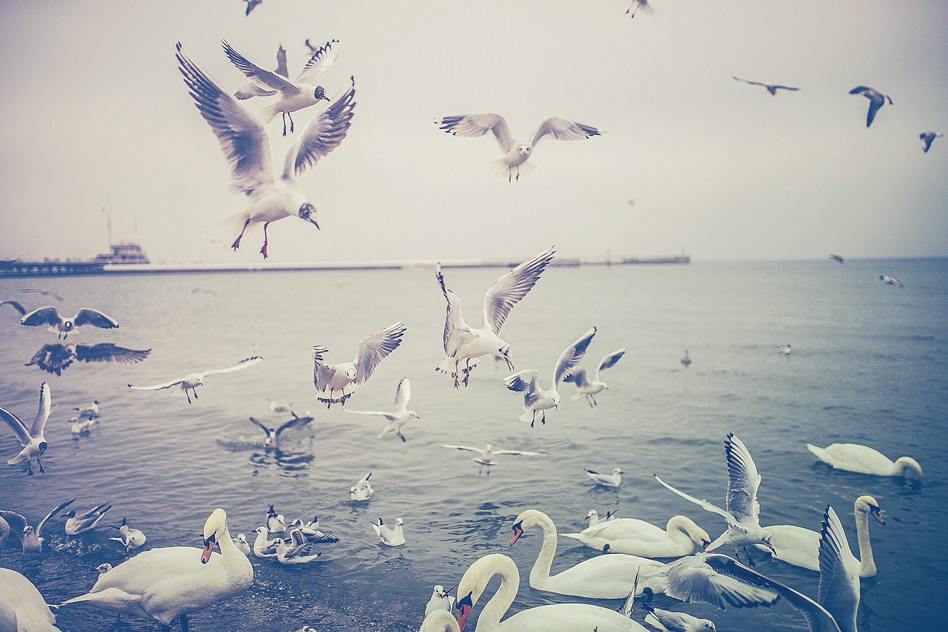 A Chinese Girl-Inspire