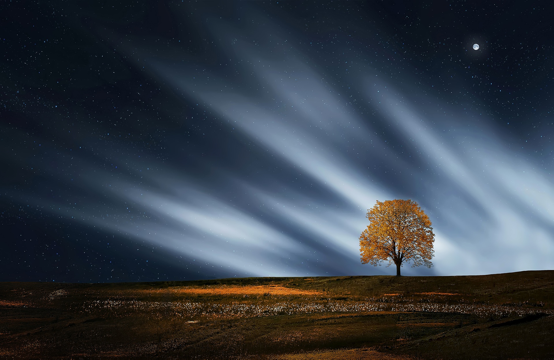 ¿Qué es la luz?