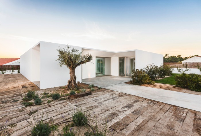 Primary Raster logo